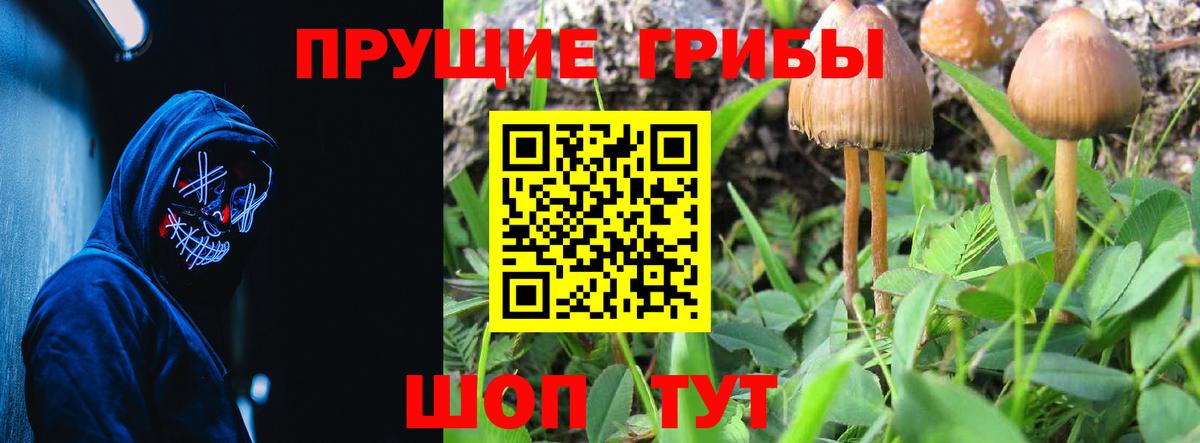 Галлюциногенные грибы GOLDEN TEACHER Когалым